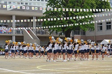 20150602-02.jpg