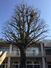 20160421-01.JPG