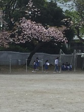 20160421-02.JPG
