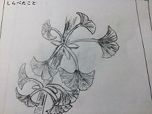 20160421-06.JPG