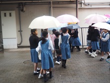 20190307-3.JPG