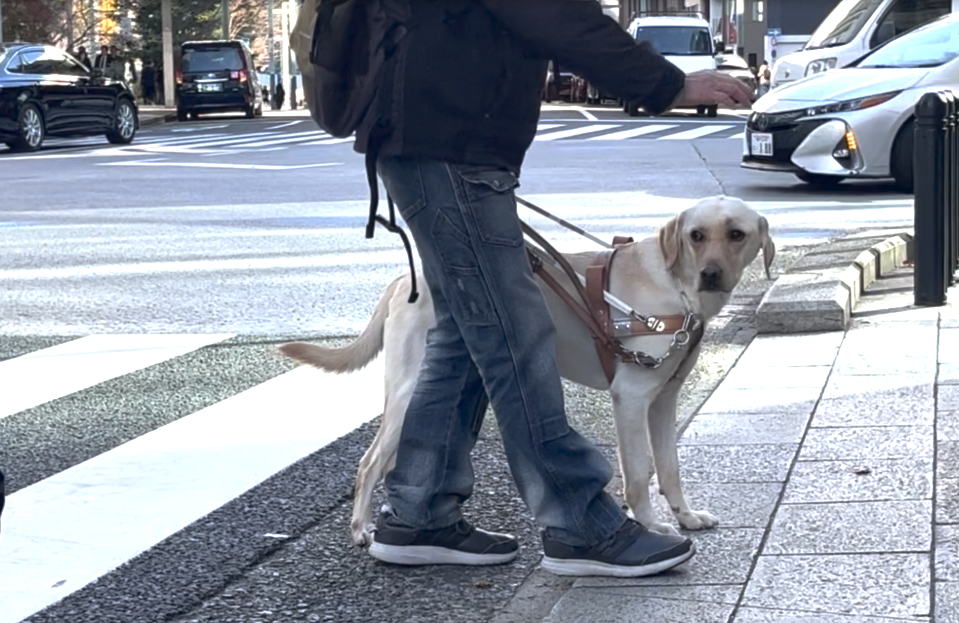 スクリーンショット 2023-12-21 14.21.30.png