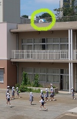 2018.7.13-3 - コピー (2).jpg