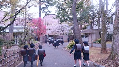 2019.4.8-7 - コピー.jpg