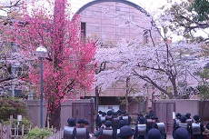 2019.4.8-8 - コピー.jpg