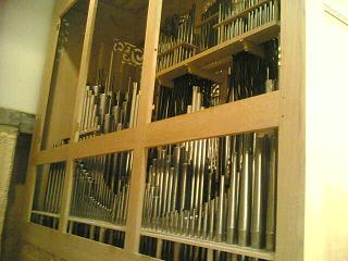 organ_12-1.jpg