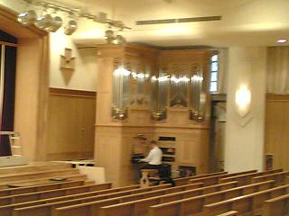 organ_14-1.jpg