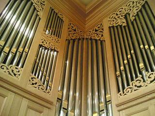 organ_16-1.jpg
