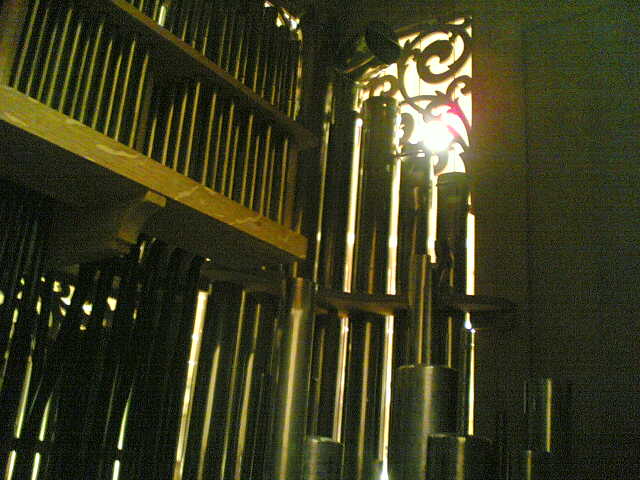 organ_17-1.jpg