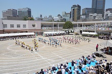 20190612-3.jpg