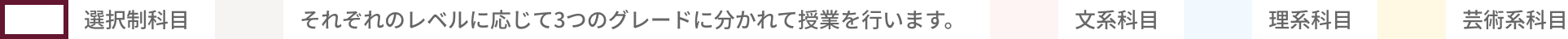 赤枠で囲まれている科目は選択科目です。グレー背景の科目はそれぞれのレベルに応じて3つのグレードに別れて授業を行います。薄ピンクの背景の科目は文系科目、水色背景の科目は理系科目、黄色背景の科目は芸術系科目です。