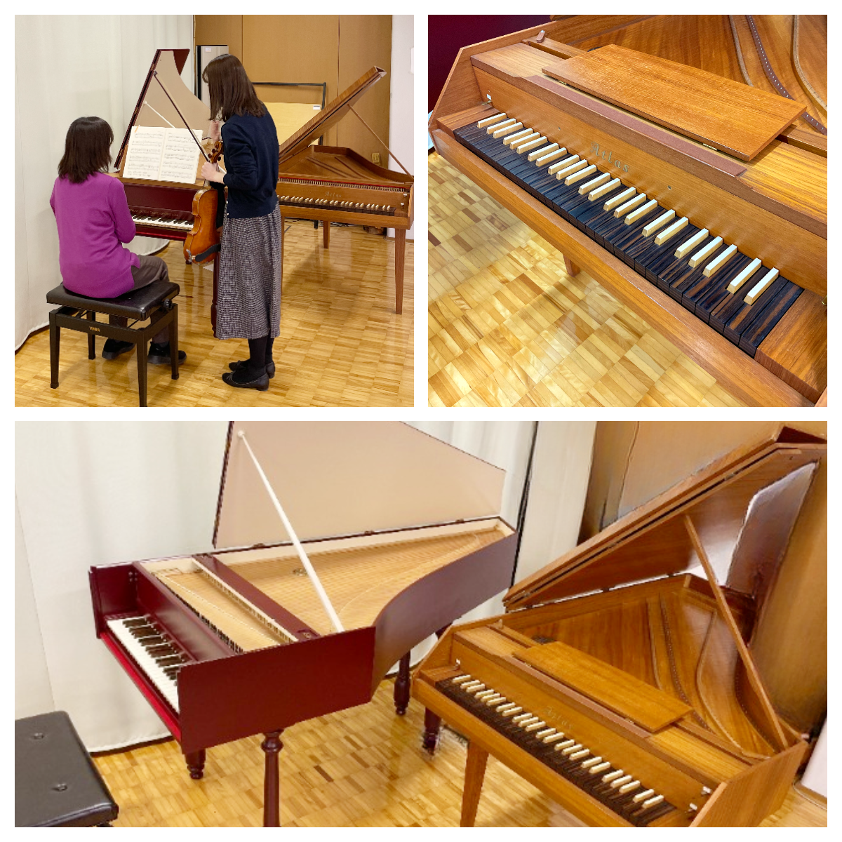 ★チェンバロコラージュ.png